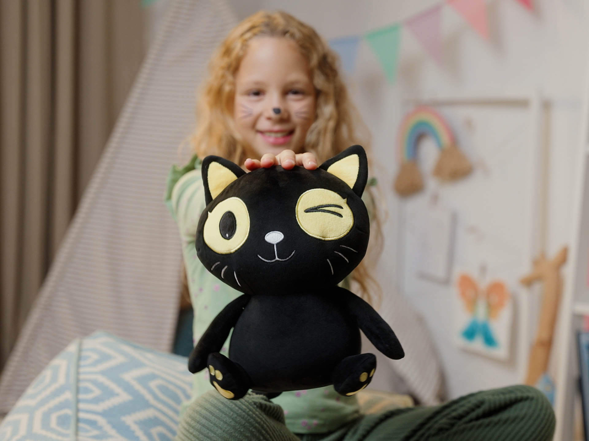 pp_carousel_black-cat-pillow_1000234608_v2a