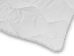 begonia_duvet_031