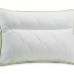 aloe_vera_pillow_anatomic